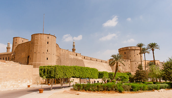 Day Tour Pyramids, The Museum & The Citadel