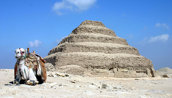 Day Tour Memphis Sakkara and Dahshur